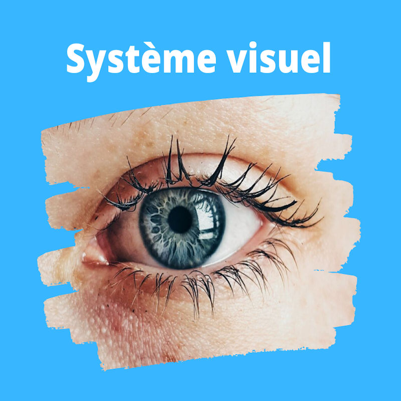 Système visuel